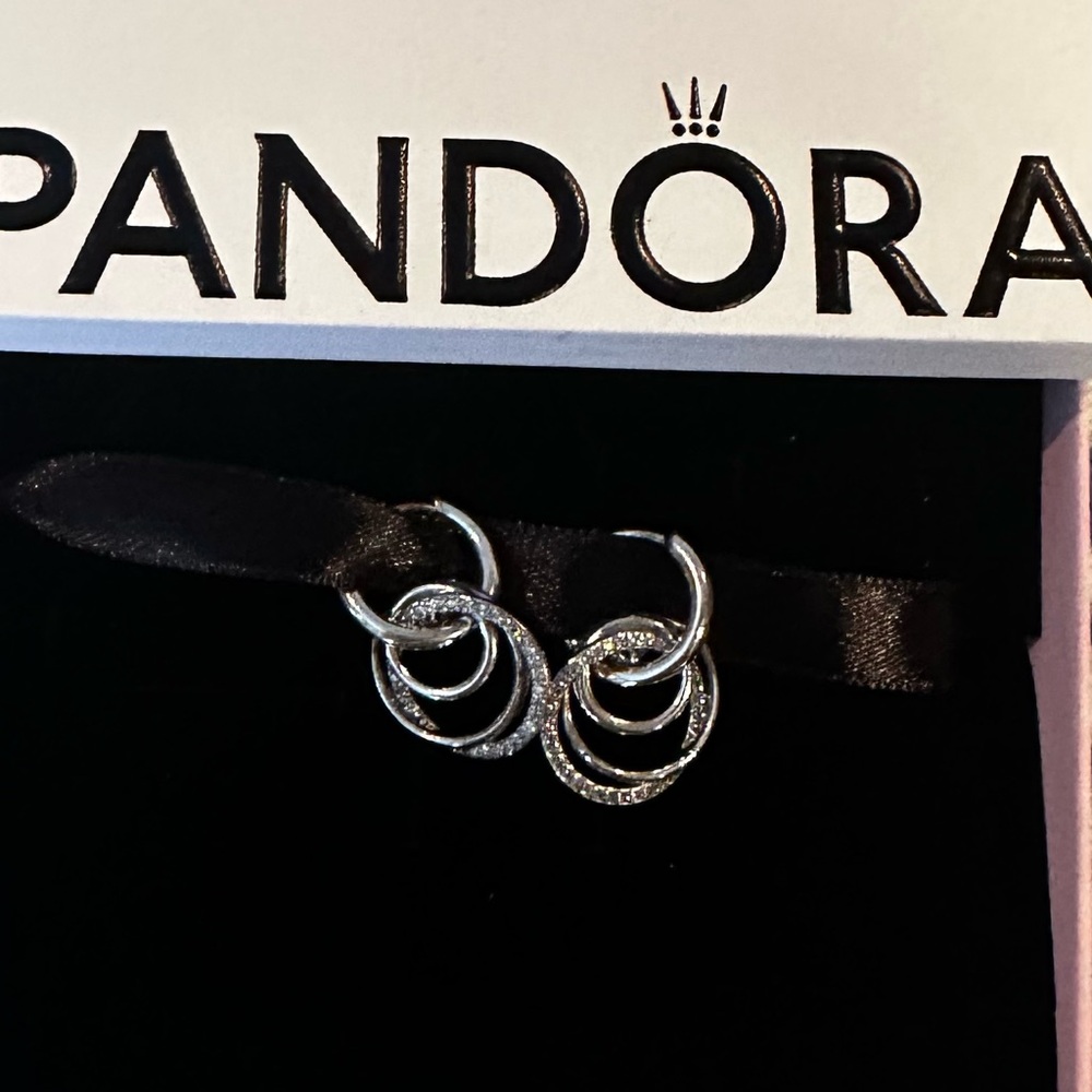 PANDORA Family Always Encircled Hoop Earrings